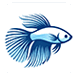 BettaFish
